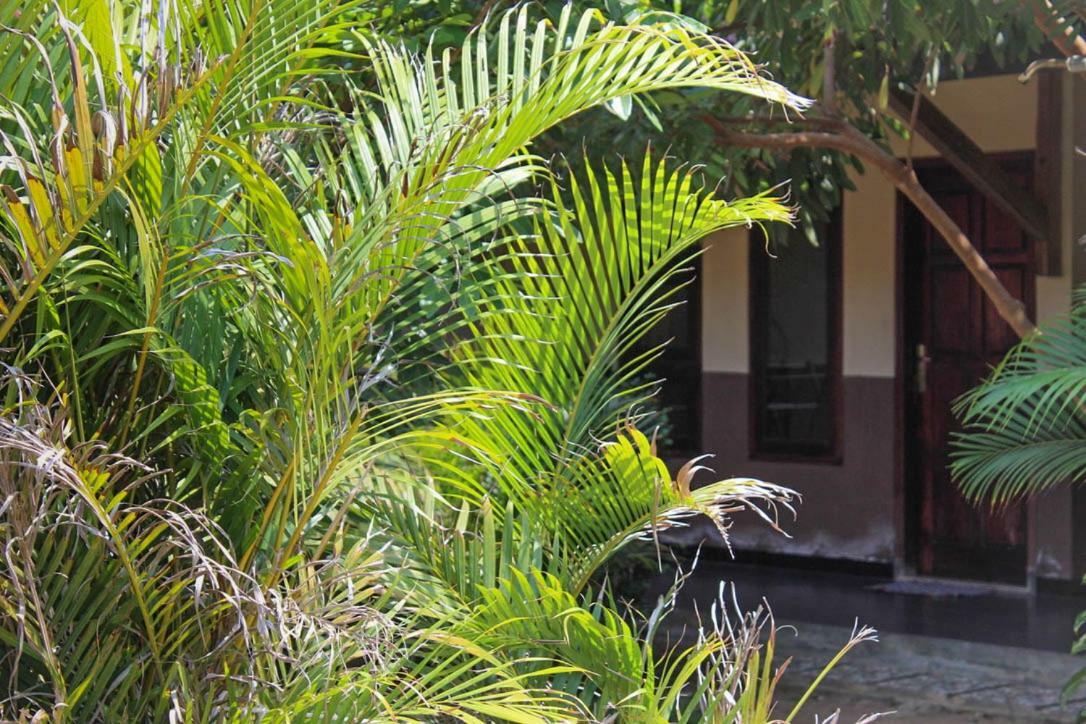 Harrys Oceanhouse 2 Pacitan Apartment Екстериор снимка
